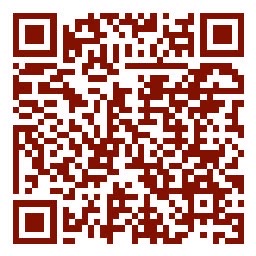 QR code vers une vidéo Instagram de la section